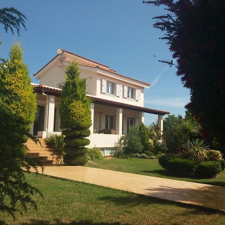 Beautiful Summer Villa In Chalkoutsi Khalkoutsion Exterior foto