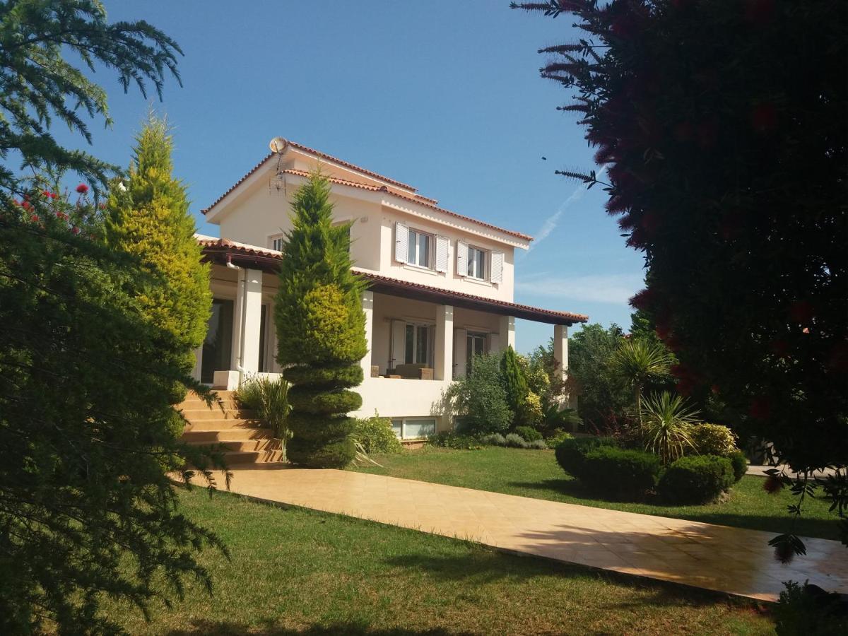 Beautiful Summer Villa In Chalkoutsi Khalkoutsion Exterior foto