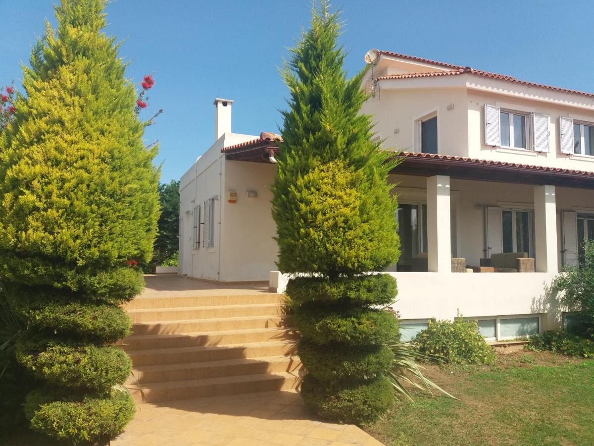 Beautiful Summer Villa In Chalkoutsi Khalkoutsion Exterior foto